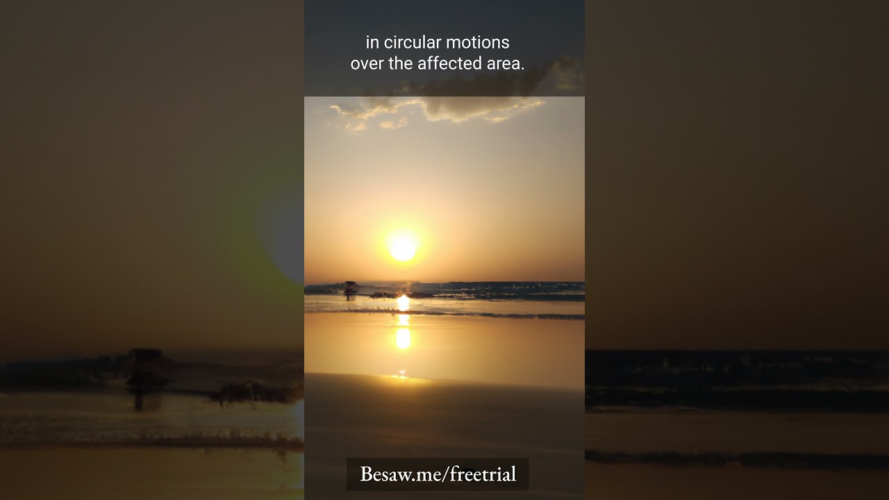 Body Sport Variable Speed Professional Vibrating Massager for Pain and Aching Muscles Premium