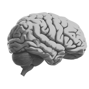 Thorough Https://besaw.me/aiwise Review