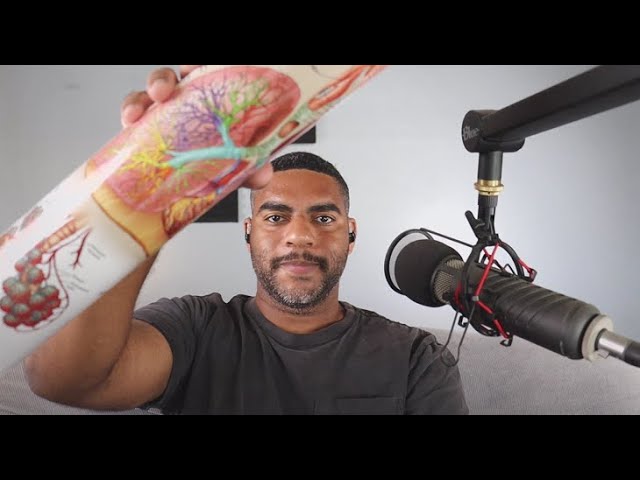 The Art of Science Anatomy Posters Review